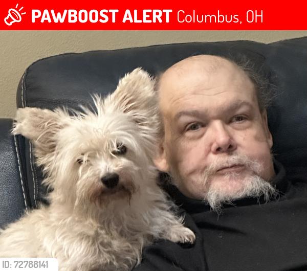 Lost Female Dog last seen Ambleside and Sandalwood , Columbus, OH 43229