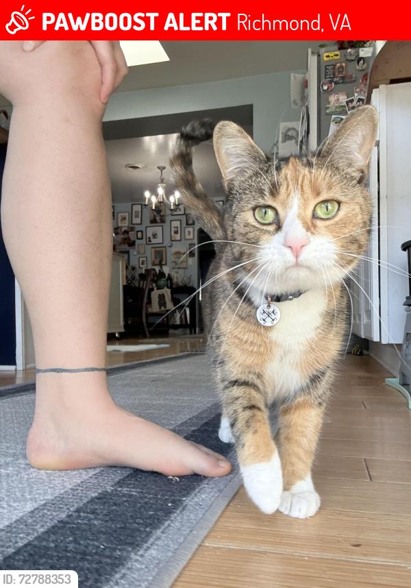 Lost Female Cat last seen Wolfcreek Cherokee Museum, Richmond, VA 23231