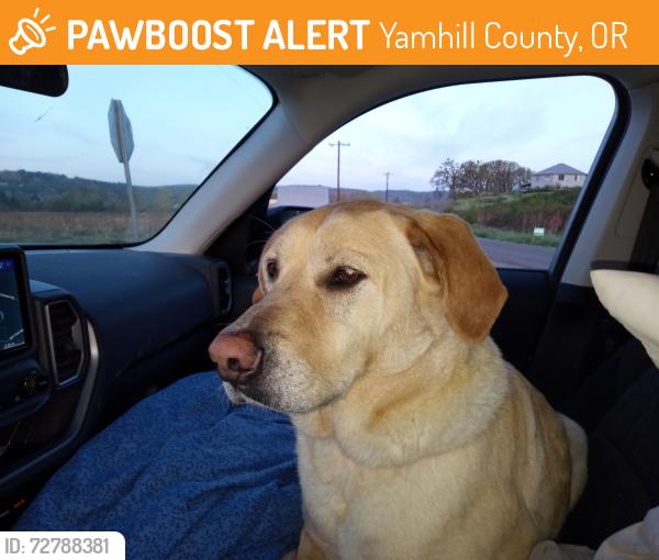 Found/Stray Male Dog last seen Hwy 47 outside of Yamhill,  Oakridge Rd & NW Moorse Valley Rd, Yamhill County, OR 97111