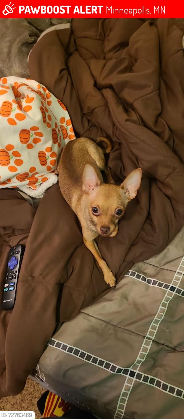 Lost Male Dog last seen Doubletree Hilton Hotel Bloomington 7800 Normandale Blvd , Minneapolis, MN 55439
