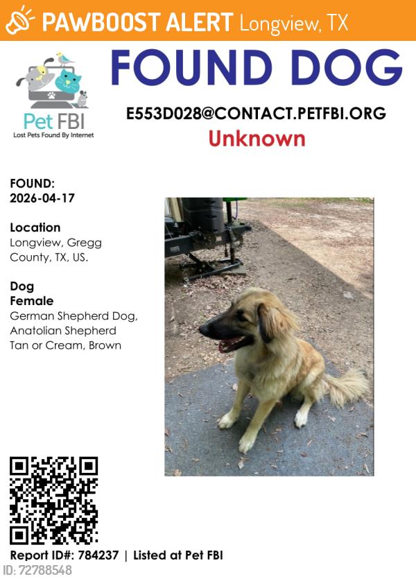 Found/Stray Female Dog last seen Dumas road, Longview, TX 75604