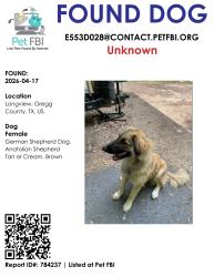 Found/Stray Female Dog last seen Dumas road, Longview, TX 75604