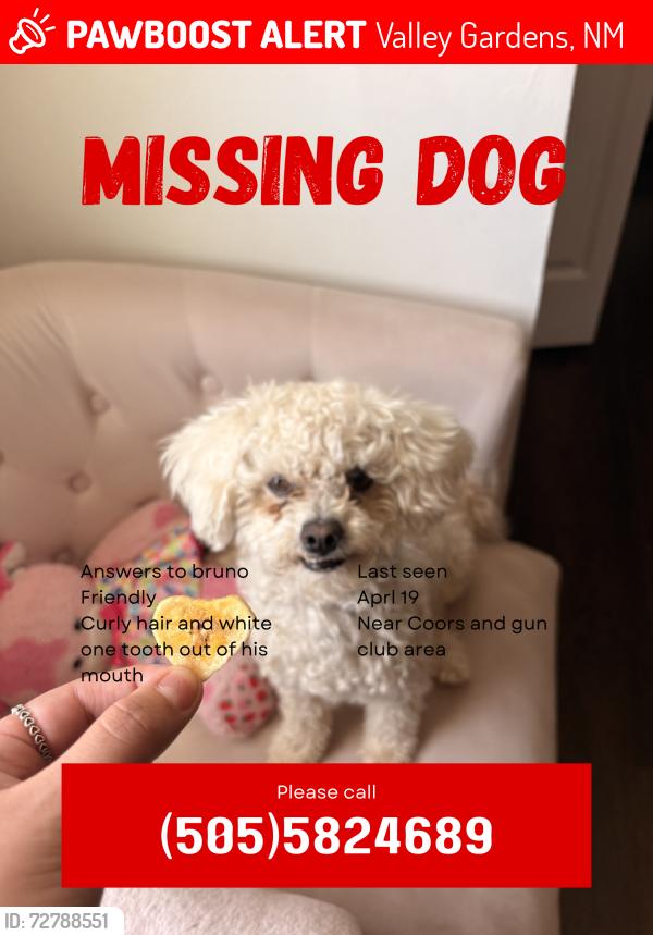 Lost Male Dog last seen Coors and Gun club , Valley Gardens, NM 87121