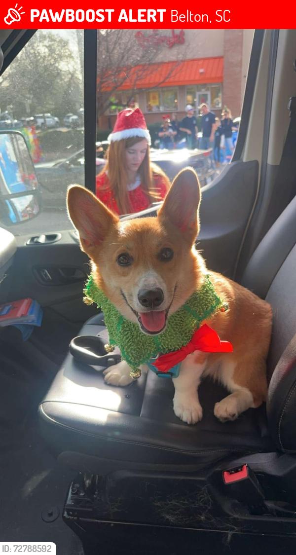 Lost Male Dog last seen Crescent street, o neal street. , Belton, SC 29627