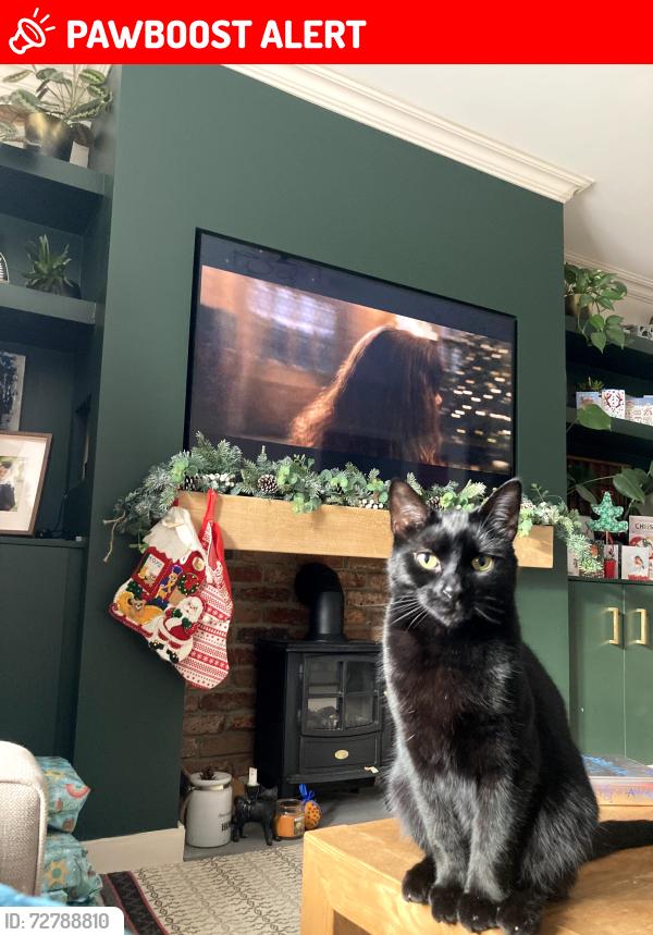 Lost Male Cat last seen Haddenham Garden Centre, Haddenham, England HP17 8FR