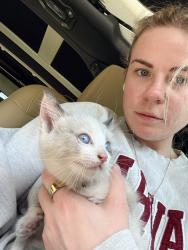 Found/Stray Unknown Cat last seen Healey and Ferguson , Dallas, TX 75228