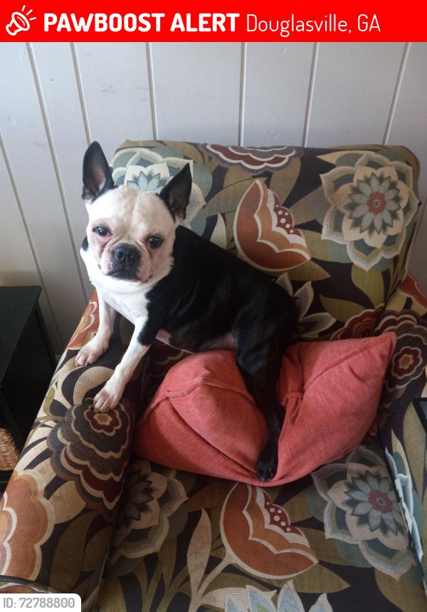 Lost Male Dog last seen Hwy 5 Douglasville across from Martin's Restaurant, Douglasville, GA 30135