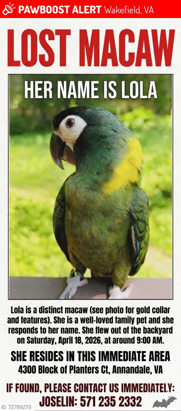 Lost Female Bird last seen Duncan , Wakefield, VA 22003