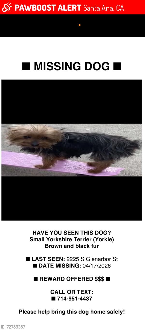 Lost Male Dog last seen Glenarbor St and Pendleton Ave , Santa Ana, CA 92704