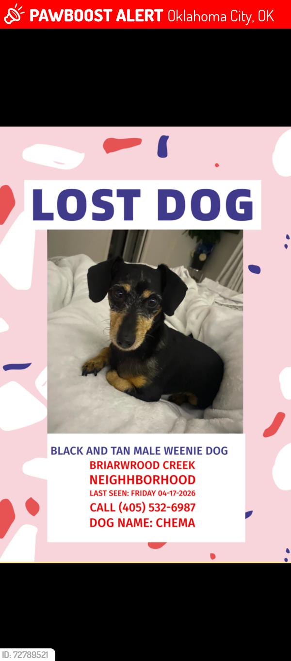 Lost Male Dog last seen Santa Fe and 4th St, Oklahoma City, OK 73170