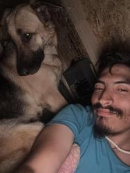 Lost Female Dog last seen Near hook road Honea path sc , Honea Path, SC 29654