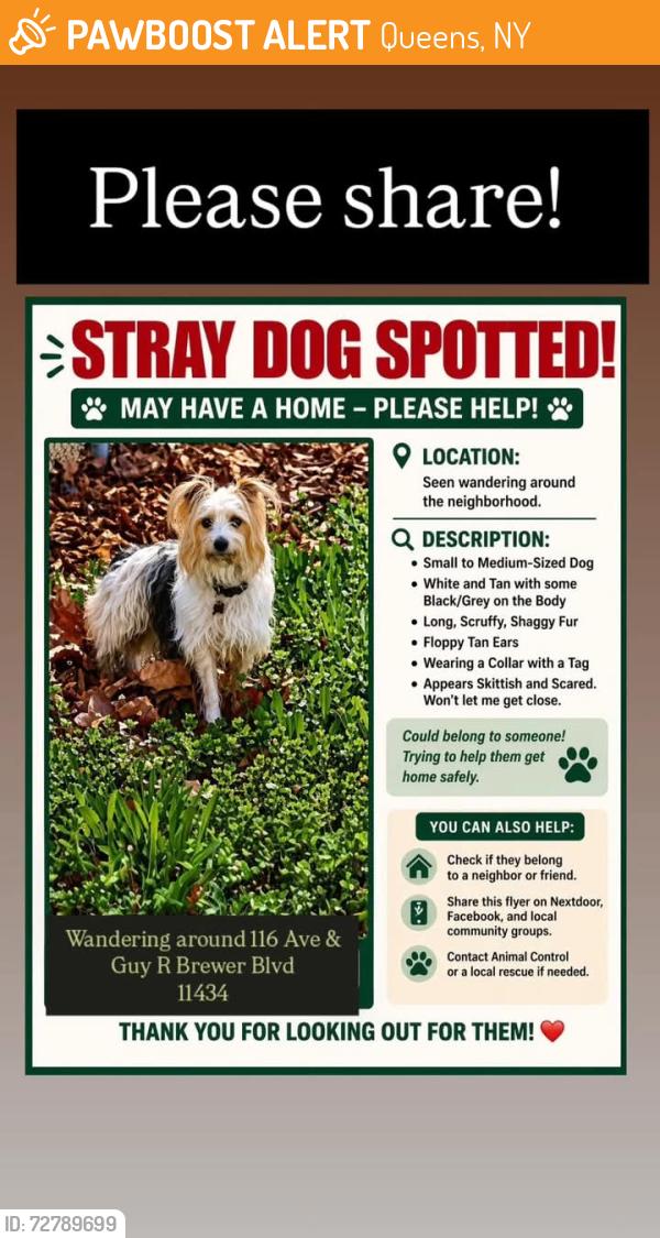 Found/Stray Unknown Dog last seen Near avenue  and 157th street Zip 11434, Queens, NY 11434