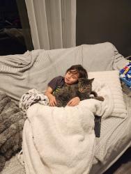 Lost Male Cat last seen Wavecrest, McKinleyville, CA 95519