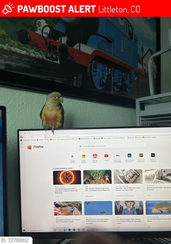 Lost Unknown Bird last seen Near the Roma church, Littleton, CO 80128