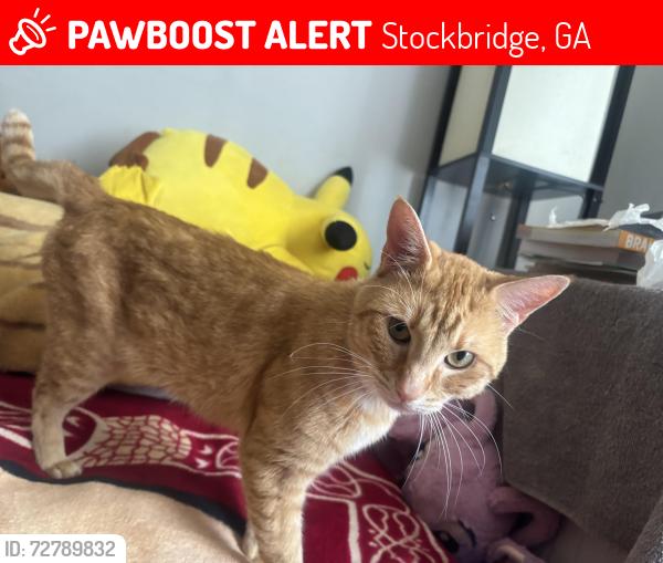 Lost Male Cat last seen Last seen at my hse , Stockbridge, GA 30281