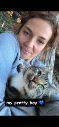 Lost Male Cat last seen Lower mill creek rd, Rocky Face, GA 30740