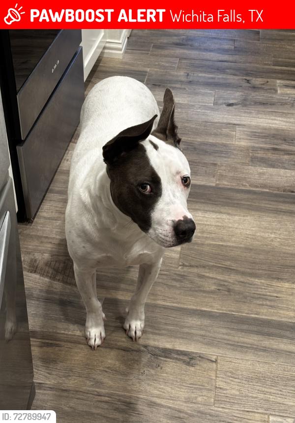 Lost Male Dog last seen Kemp, Wichita Falls, TX 76301