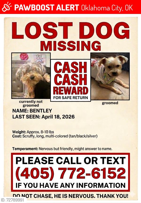 Lost Male Dog last seen Under the staircase , Oklahoma City, OK 73127