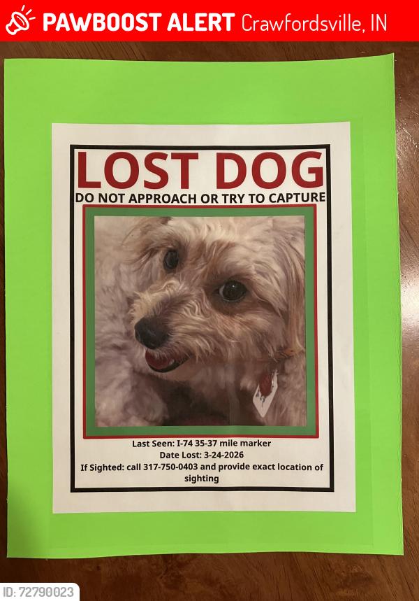 Lost Male Dog last seen Sugar Creek Elementary , Crawfordsville, IN 47933