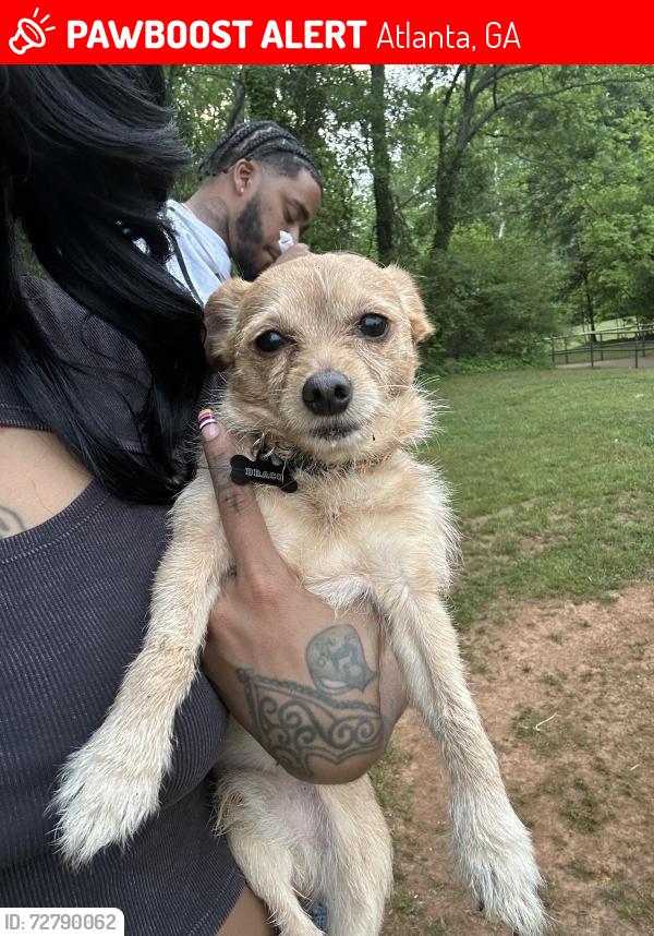 Lost Male Dog last seen The kendrick, Atlanta, GA 30324