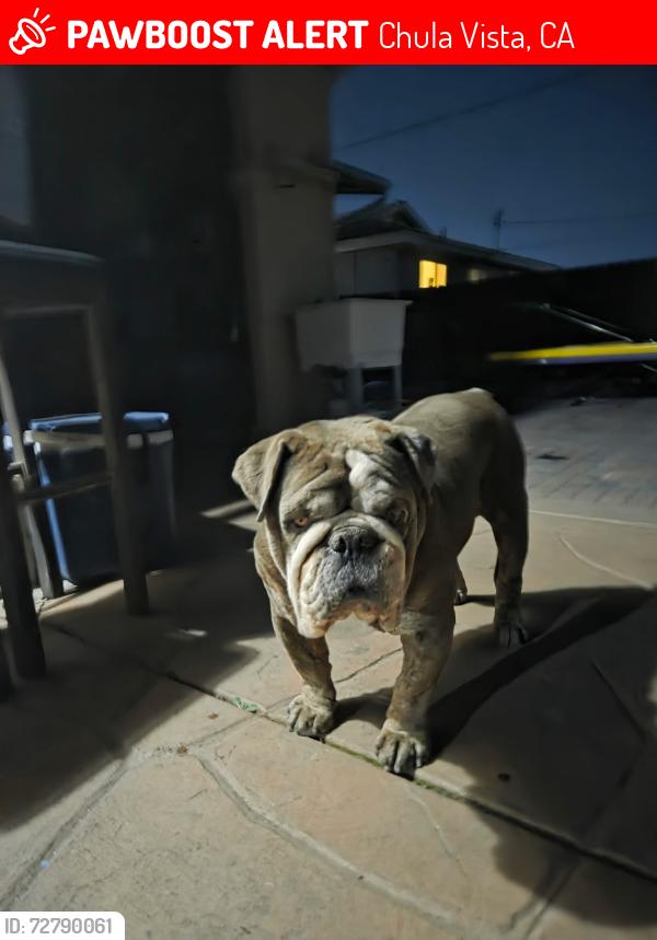 Lost Male Dog last seen Hilltop x East L st, Chula Vista, CA 91911