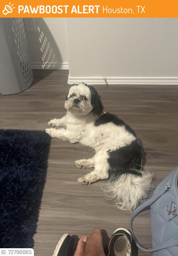 Found/Stray Male Dog last seen Imperial valley , Houston, TX 77090