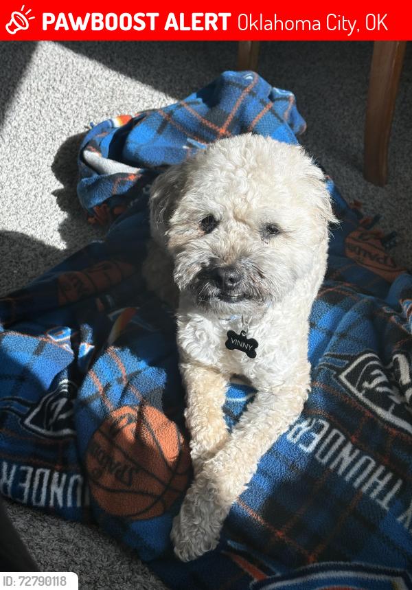 Lost Male Dog last seen Sara and 29th st , Oklahoma City, OK 73099