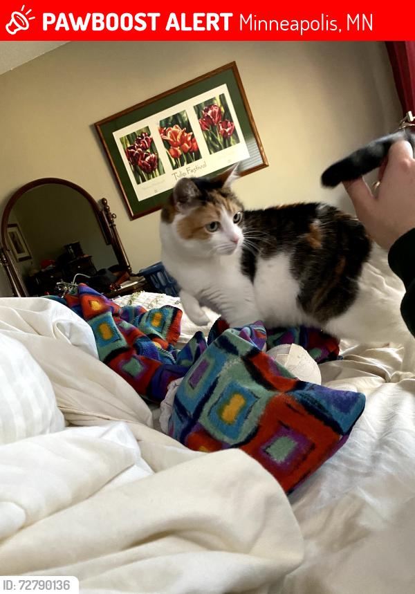 Lost Female Cat last seen South side of Crooked Lake, Coon Rapids, MN, Minneapolis, MN 55448