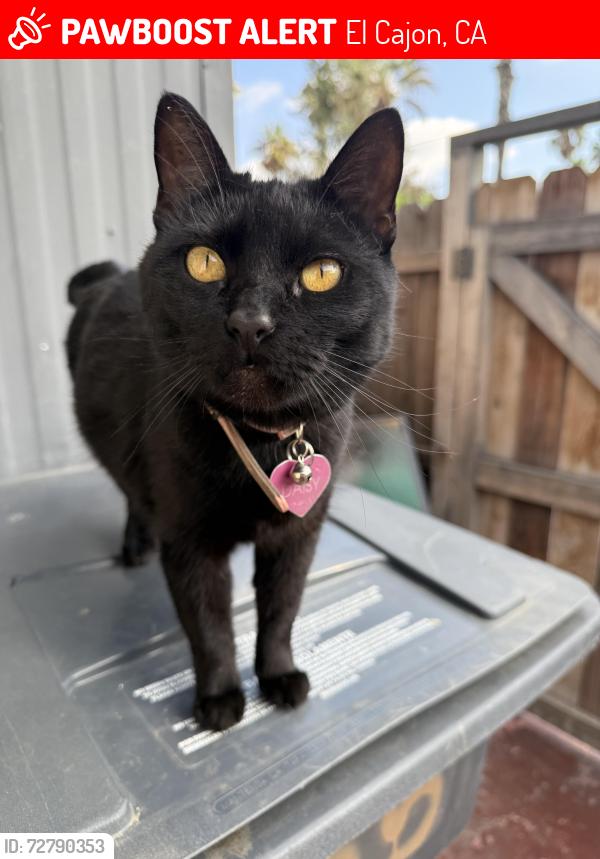 Lost Female Cat last seen Jackson hill drive , El Cajon, CA 92021