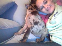 Lost Female Dog last seen Jenkins Public Libray, Jenkins, KY 41537