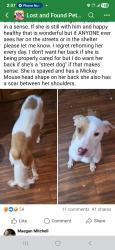 Lost Female Dog last seen Near Windemere Ave, Oklahoma City, OK 73117, Oklahoma City, OK 73102