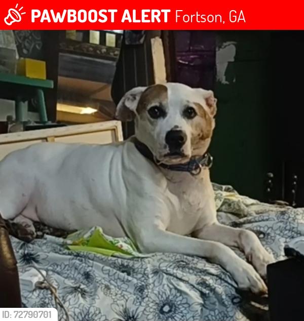 Lost Female Dog last seen River Road, Fortson, GA 31808