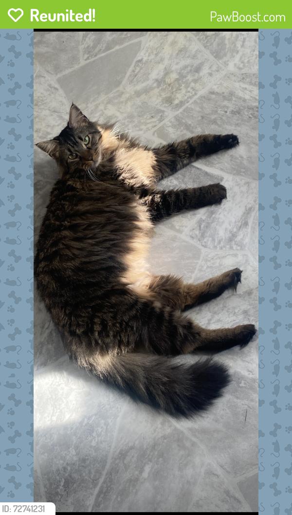 Reunited Male Cat last seen Jefferson elementary, and hanscom park , Omaha, NE 68105