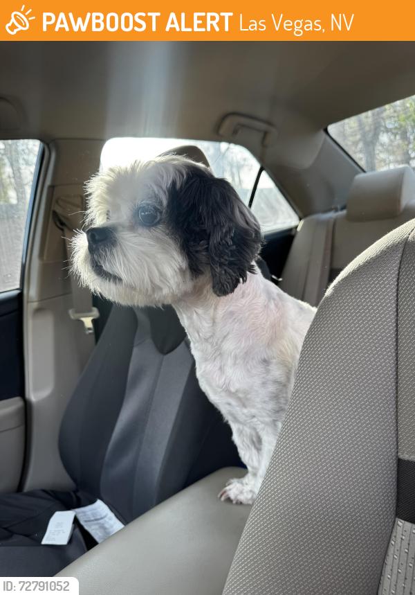 Found/Stray Male Dog last seen hillpoint and rampart, Las Vegas, NV 89134