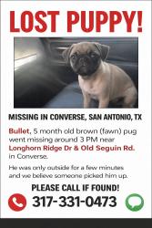 Lost Male Dog last seen Old sequin rd, Converse, TX 78109
