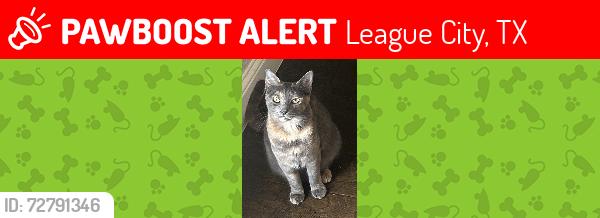 Lost Female Cat last seen South Shore Blvd and Austin Breeze Lane,, League City, TX 77573