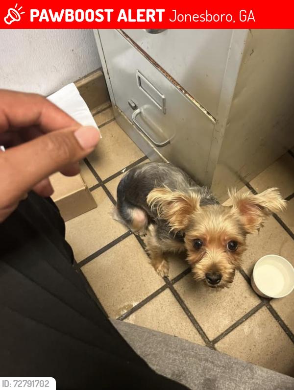 Lost Female Dog last seen Jonesboro Rd & morrow . , Jonesboro, GA 30236