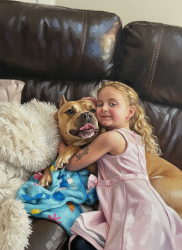 Lost Female Dog last seen 66th and park, Pinellas Park, FL 33781