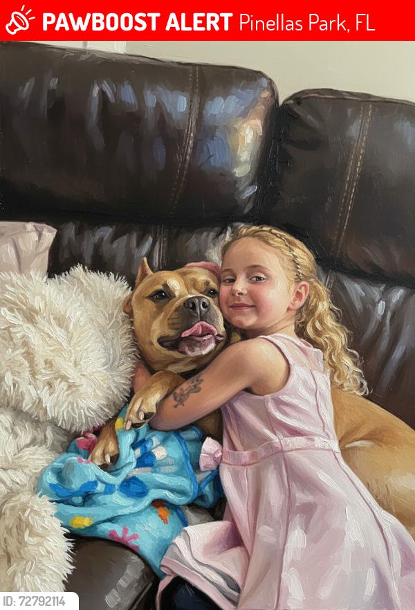 Lost Female Dog last seen 66th and park, Pinellas Park, FL 33781