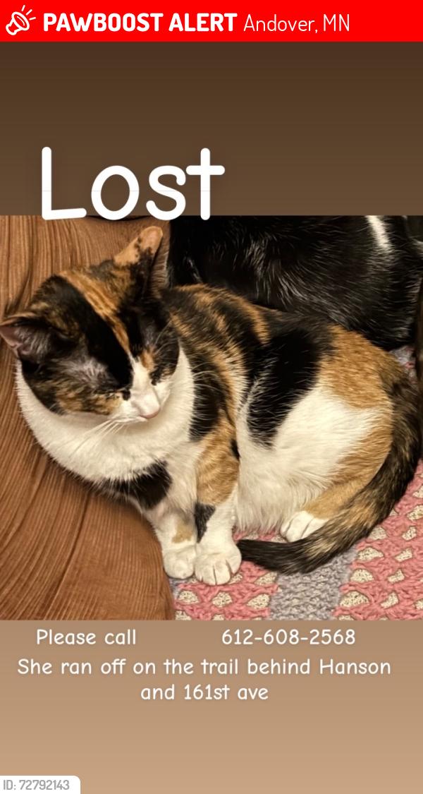 Lost Female Cat last seen Near ave northwoods preserve , Andover, MN 55304