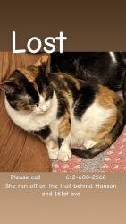 Lost Female Cat last seen Near ave northwoods preserve , Andover, MN 55304