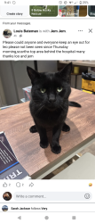 Lost Male Cat last seen Grimsby hosp , Scartho Top, England DN33