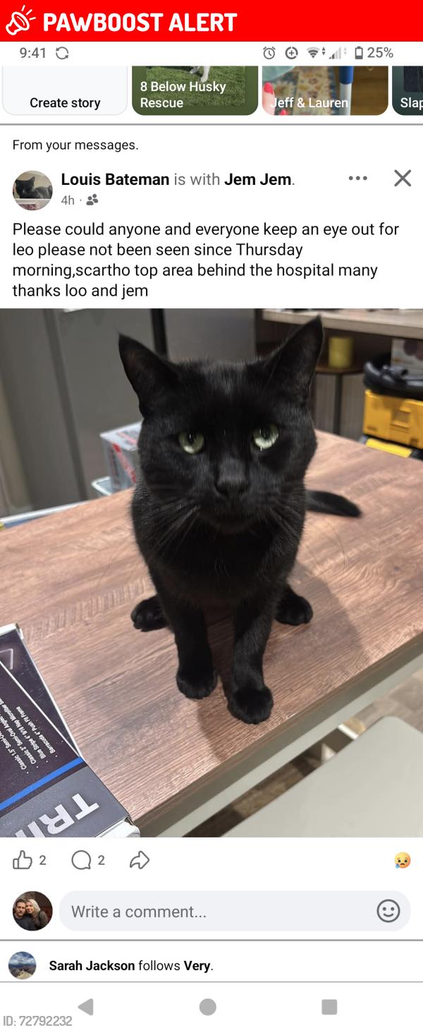 Lost Male Cat last seen Grimsby hosp , Scartho Top, England DN33
