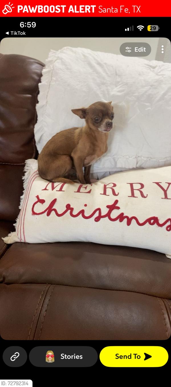 Lost Male Dog last seen Wagner tree farm, Santa Fe, TX 77517