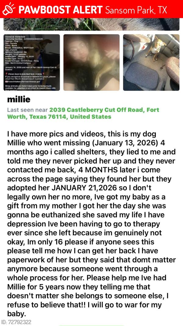 Lost Female Dog last seen Sansom park, Sansom Park, TX 76135