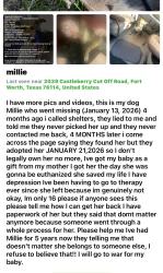 Lost Female Dog last seen Sansom park, Sansom Park, TX 76135