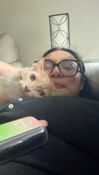 Lost Male Cat last seen Near west avenue f , Garland, TX 75040