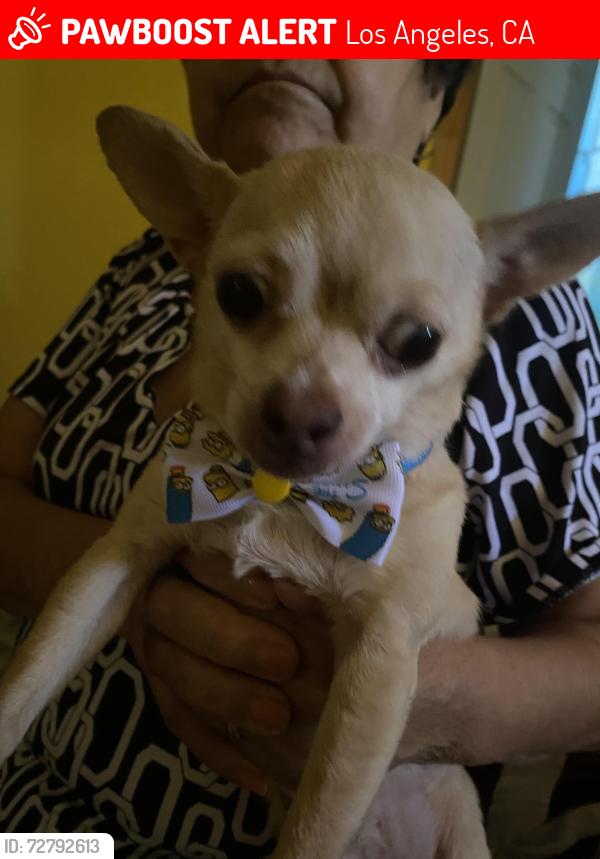 Lost Male Dog last seen Harcourt Ave and 60th street, Los Angeles, CA 90043
