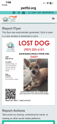 Lost Female Dog last seen Max Cleveland BLVD AND OAKLEAF RISGE, Lithonia, GA 30058