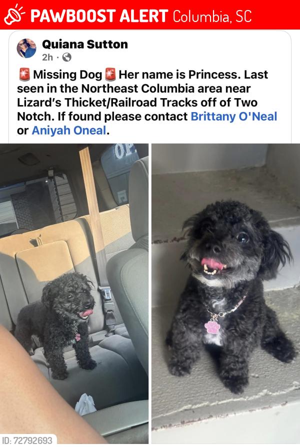 Lost Female Dog last seen Lizard thicket , Columbia, SC 29223